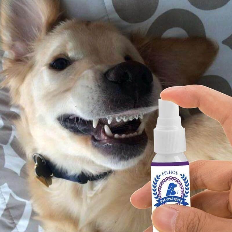 Spray Oral Eliminador de Tártaro e Mau Hálito Pet - N18 Store